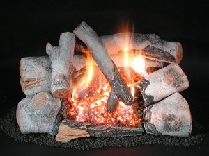 ventless gas fireplace with birch ceramic gas log